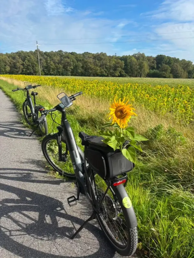 🌻💚
🇫🇮 Maanantaina 31.8. Turun kauppatorin pyörävuokraamo sulkee ovensä tältä kesältä, mutta voit varata sähköpyöriä tämänkin jälkeen verkkokaupasta tai olemalla suoraan yhteydessä meihin.Toimitamme pyöriä Turun alueella varausten mukaan, syksy on ihanaa aikaa pyöräillä! Saaristokaan ei sulkeudu, sieltä löytyy ihania paikkoja joissa vierailla, yöpyä ja ruokailla ympäri vuoden!💚🇬🇧 On Monday 31 August, the bike rental shop at Turku Market Square will close its doors for the summer. However, you can still book e-bikes after this date via our online shop or by contacting us directly.We deliver bikes within the Turku area based on bookings - autumn is a lovely time for cycling! The archipelago isn’t closing down either; there are wonderful places there to visit, stay and dine all year round!💚