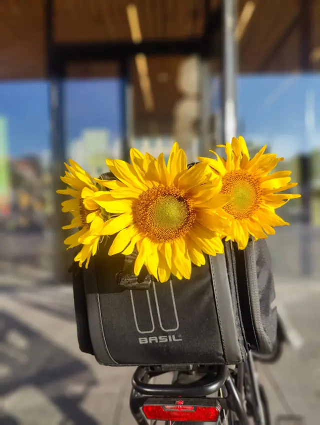 🇫🇮 Late Summer Ride arvonta on suoritettu!
Voittajiin on oltu yhteydessä henkilökohtaisesti. 💚
Pyöräilykausi jatkuu ja sähköpyöriä voi vielä vuokrata Kauppatorilta. 🚲Nautitaan loppukesän keleistä.🌻
Hyvää viikonloppua! 💚🇬🇧 Late Summer Ride giveaway is now complete.
We’ve contacted the winners personally. 💚
The cycling season continues, and e‑bikes are still available for rental at the Turku Market Square. 🚲Let’s enjoy the rest of the late‑summer weather.🌻
Have a wonderful weekend! 💚